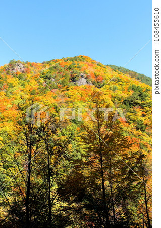 美原高原 - 竹石嶺的紅葉 108455610