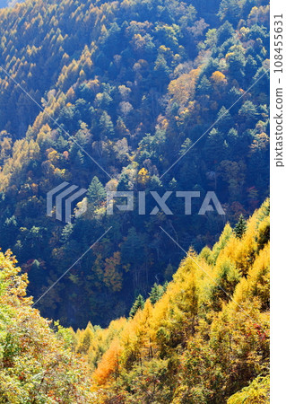 Utsukushigahara Plateau - Autumn leaves at Takeishi Pass Utsukushigahara Plateau - Autumn leaves at Takeishi Pass 108455631