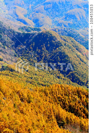 美原高原、大花、竹石峰的秋葉 108455853