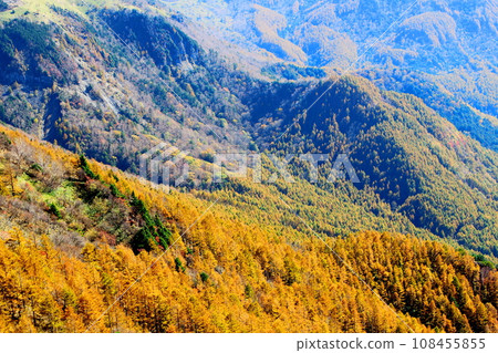 Autumn leaves of Utsukushigahara Plateau, Ougahana, Takeishimine Autumn leaves of Utsukushigahara Plateau, Ougahana, Takeishimine 108455855