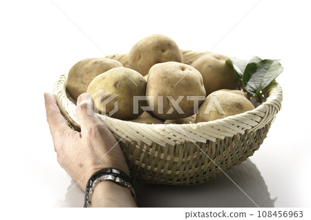 potato white background potato white background 108456963