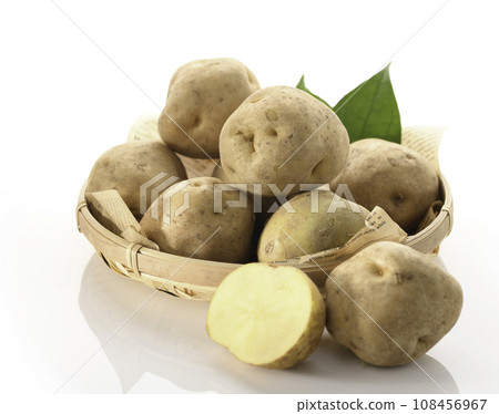 potato white background potato white background 108456967