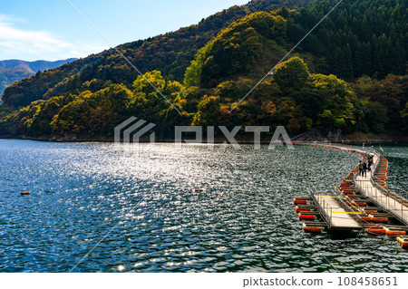 東京奧多摩町奧多摩湖上的麥山浮橋 108458651