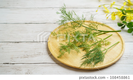 蒔蘿 (蒔蘿) 白色木紋背景 蒔蘿 (蒔蘿) 白色木紋背景 108458861