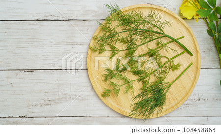Dill (Dill) White wood grain background 108458863