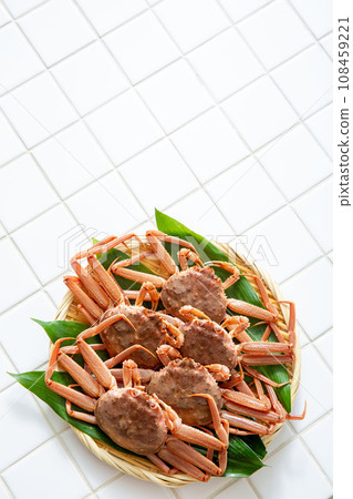 Seko crab, giant snow crab, female 108459221