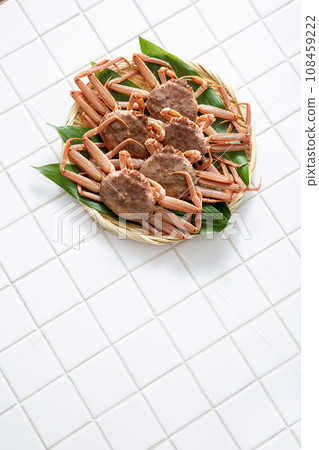 Seko crab, giant snow crab, female 108459222