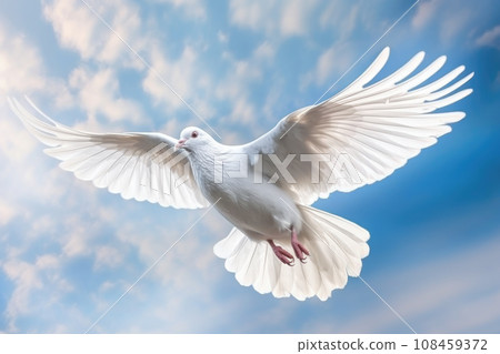 White pigeon flying in the blue sky.AI generated. 108459372