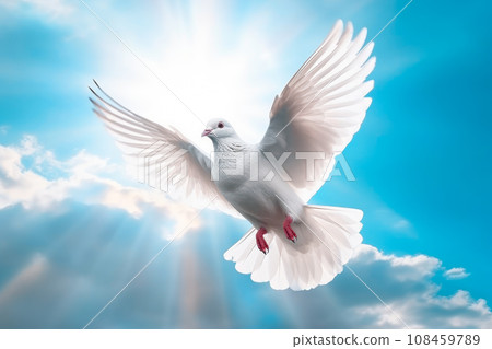 A free white dove flying in the sky.AI generated. 108459789
