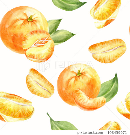 Watercolor seamless pattern with orange tangerines. Citrus mandarins , fruit slices, green leaves and peel composition. Hand drawn illustration for packing, logo,label design Watercolor seamless pattern with orange tangerines. Citrus mandarins , fruit slices, green leaves and peel composition. Hand drawn illustration for packing, logo,label design 108459971