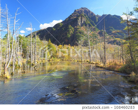 Kamikochi Azusa River flow in autumn 108460283