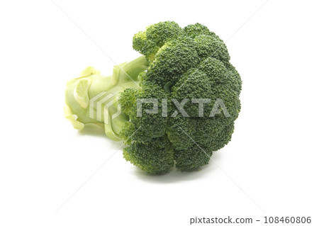 白色背景青花菜 108460806