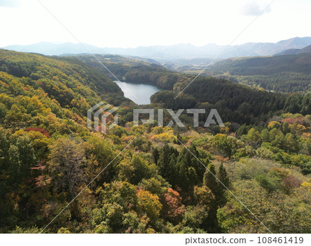 Aerial view of autumn leaves of Choro Lake 108461419