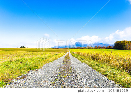 Blue sky and autumn country road in Hokkaido 108461919