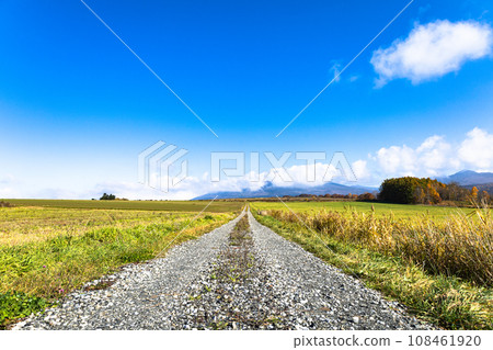 北海道的藍天和秋天的鄉村道路 108461920