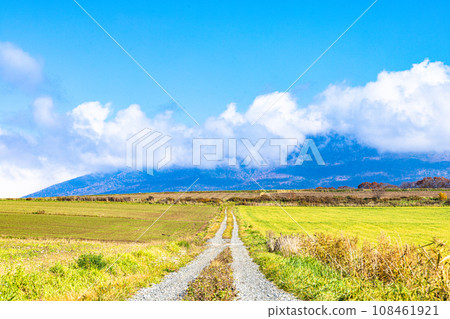 北海道的藍天和秋天的鄉村道路 108461921