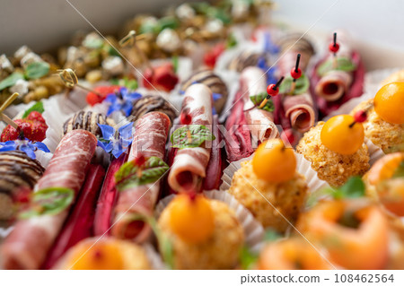 Catering service. Set of beautiful canapes. Buffet table. Shallow depth of view. Catering service. Set of beautiful canapes. Buffet table. Shallow depth of view. 108462564