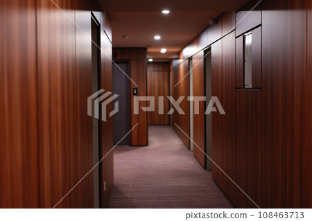 Empty dark interior of the modern Hotel corridor, with wood-paneled walls, elegant carpets and lighting on the ceiling. 108463713