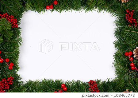 Fir branches on white Fir branches on white 108463778