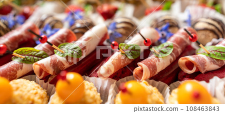 Catering service. Set of beautiful canapes. Buffet table. Shallow depth of view. 108463843