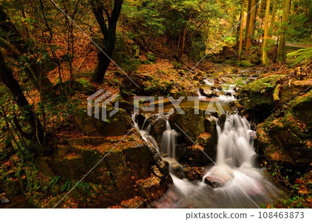 Autumn waterfall dyed in autumn leaves 108463873