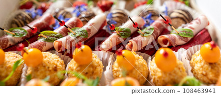Catering service. Set of beautiful canapes. Buffet table. Shallow depth of view. Catering service. Set of beautiful canapes. Buffet table. Shallow depth of view. 108463941