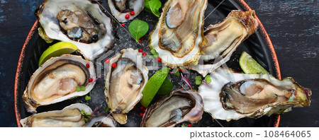 Fresh oysters with lime on a round plate. Several varieties of oysters. Oyster in half shell. Narrow banner. Flat lay. Top view. Fresh oysters with lime on a round plate. Several varieties of oysters. Oyster in half shell. Narrow banner. Flat lay. Top view. 108464065