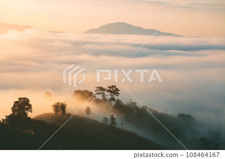 Yun Lai Viewpoint in Pai Yun Lai Viewpoint in Pai 108464167
