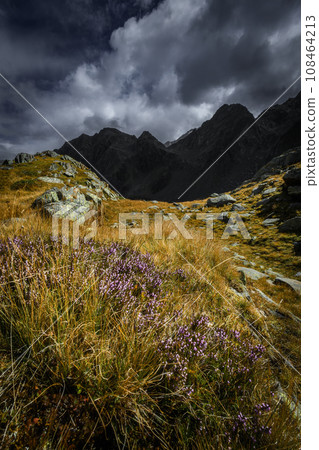 Mountain landscape of the Stubai Alps 108464213
