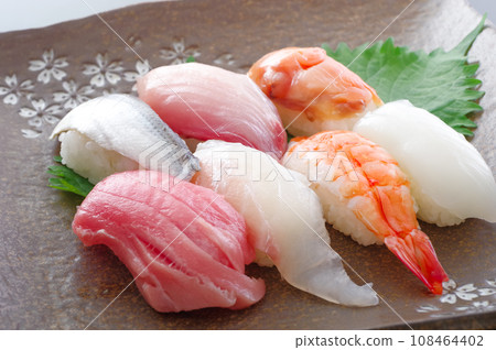 Delicious Nigiri Sushi Delicious Nigiri Sushi 108464402