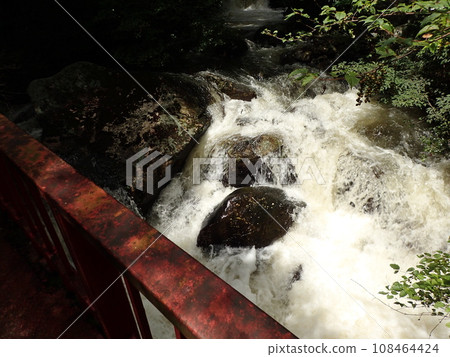 龍吟之森（岐阜縣瑞浪市） 108464424