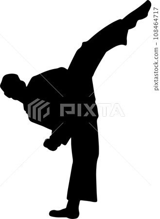 The karate Silhouette for martial arts or sport concept. 108464717