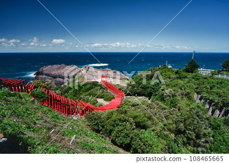 Red torii gate leading to the sea Red torii gate leading to the sea 108465665