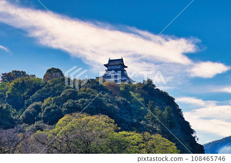 Inuyama Castle 108465746
