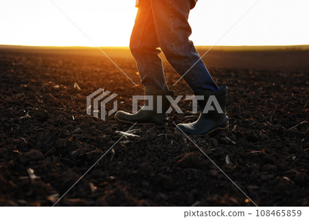 Agriculture. Cropped shot of view businessman farmer in rubber boots walks along plowed field. Agronomist checking and analyses fertile soil on sunrise. Agribusiness. 108465859