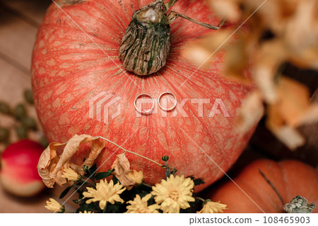 wedding golden rings on pumpkin. autumn wedding day 108465903