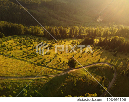 Aerial view of beautiful mountain Carpathians, Ukraine in sunlight. Drone filmed an landscape with coniferous and beech forests, around a winding serpentine road, copter aerial photo 108466106