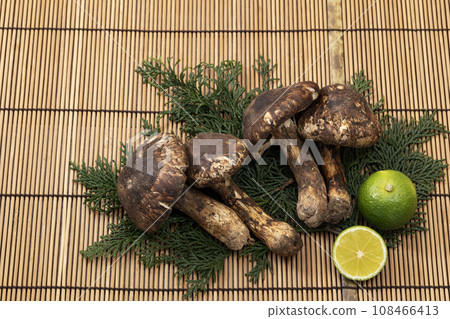 Matsutake mushrooms placed on a bamboo mat 108466413