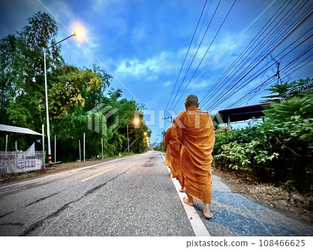 Lamphun Province, Thailand, 12 October 2023 : The  group of Thai monks that wear yellow robe are walking straight in a line along the roadside around the monastery for receive alms in the morning.  108466625