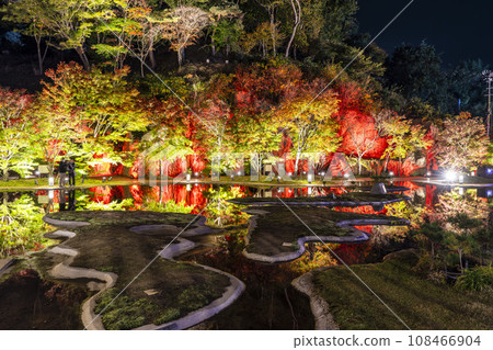 Matsushima, one of Japan's three most scenic views in autumn, Matsushima Imperial Villa, Miyagi Prefecture "Autumn leaves & light-up 2023" Matsushima Town, Miyagi Prefecture 108466904