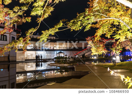Matsushima, one of Japan's three most scenic views in autumn, Matsushima Imperial Villa, Miyagi Prefecture "Autumn leaves & light-up 2023" Matsushima Town, Miyagi Prefecture 108466930