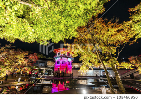 日本三大秋景之一的松島，宮城縣松島離宮「紅葉&點燈2023」宮城縣松島町 108466950