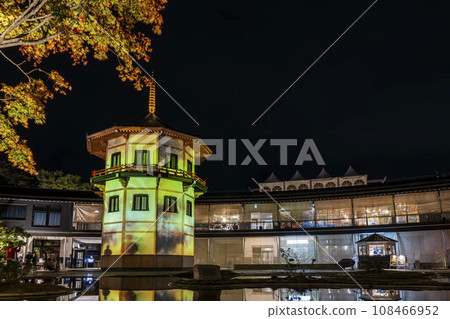 日本三大秋景之一的松島,宮城縣松島離宮「紅葉&點燈2023」宮城縣松島町 日本三大秋景之一的松島,宮城縣松島離宮「紅葉&點燈2023」宮城縣松島町 108466952