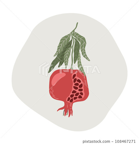 Pomegranate branch with seeds. Fruit with leaves. 108467271