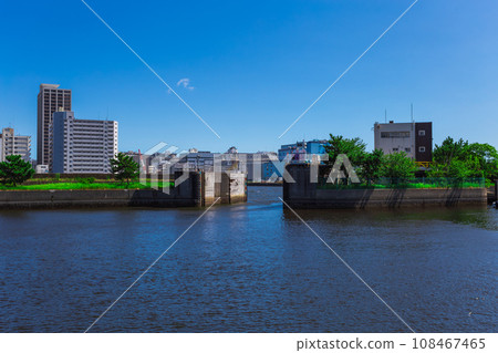 Hama-rikyu Gardens: Summer 2023 Scenery 41 108467465