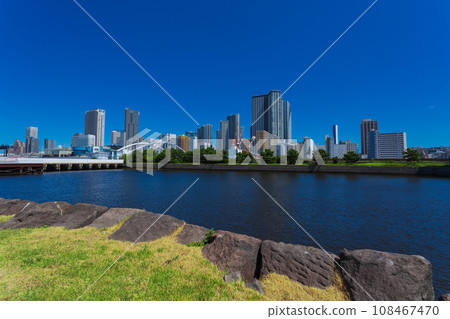 Hama-rikyu Gardens: Summer 2023 Scenery 39 Hama-rikyu Gardens: Summer 2023 Scenery 39 108467470