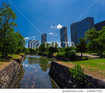 Hama-rikyu Gardens: Summer 2023 Scenery 33 Hama-rikyu Gardens: Summer 2023 Scenery 33 108467482