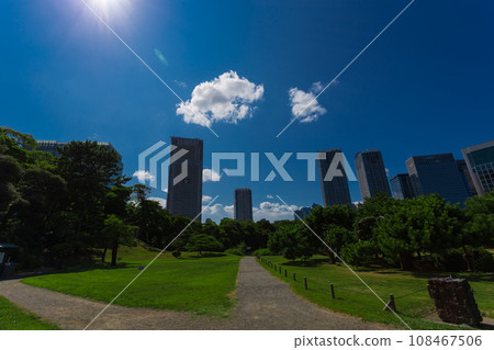 Hama-rikyu Gardens: Summer 2023 Scenery 22 108467506