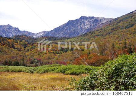 Autumn tsugaike nature park 108467512