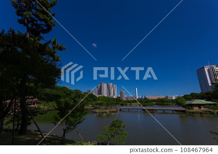 Hama-rikyu Gardens: Summer 2023 Scenery 46 Hama-rikyu Gardens: Summer 2023 Scenery 46 108467964